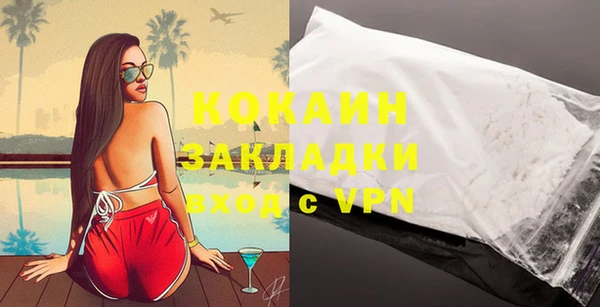 шишки Аркадак
