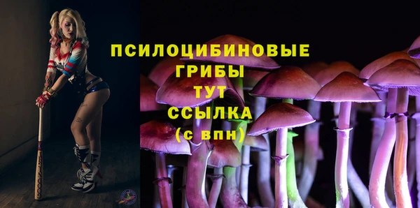 шишки Аркадак