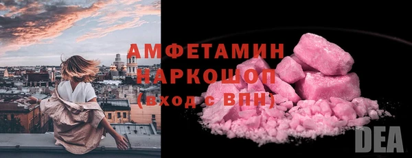 шишки Аркадак