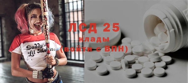 шишки Аркадак