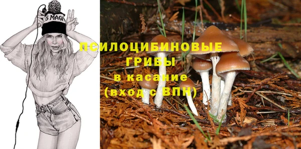 амф Армянск