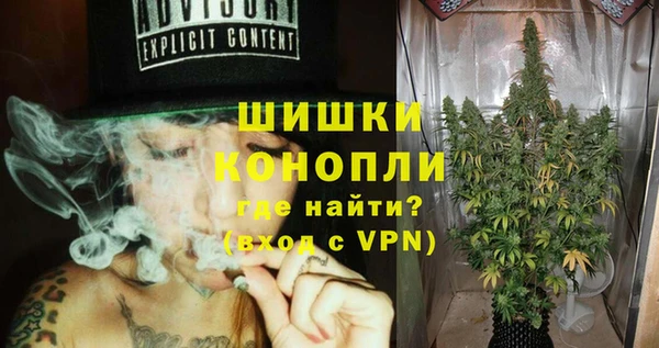 шишки Аркадак
