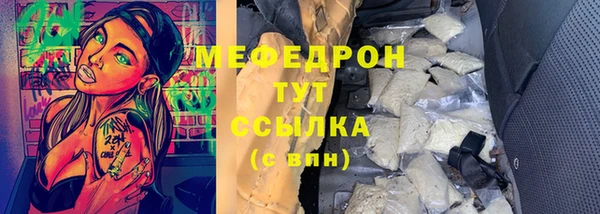 шишки Аркадак