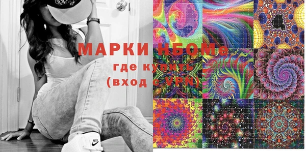 шишки Аркадак