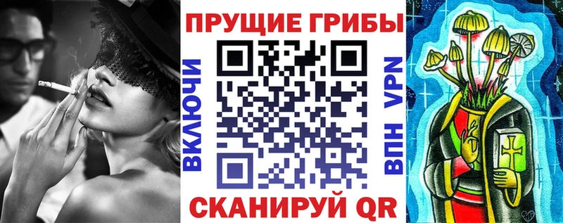 мега tor  Светогорск  Псилоцибиновые грибы прущие грибы  купить  цена 