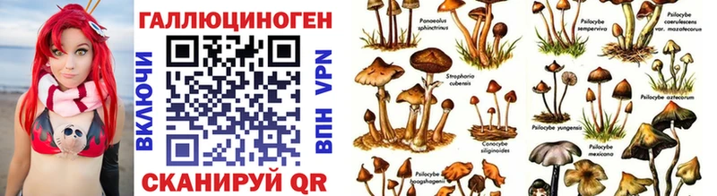 Галлюциногенные грибы GOLDEN TEACHER Светогорск